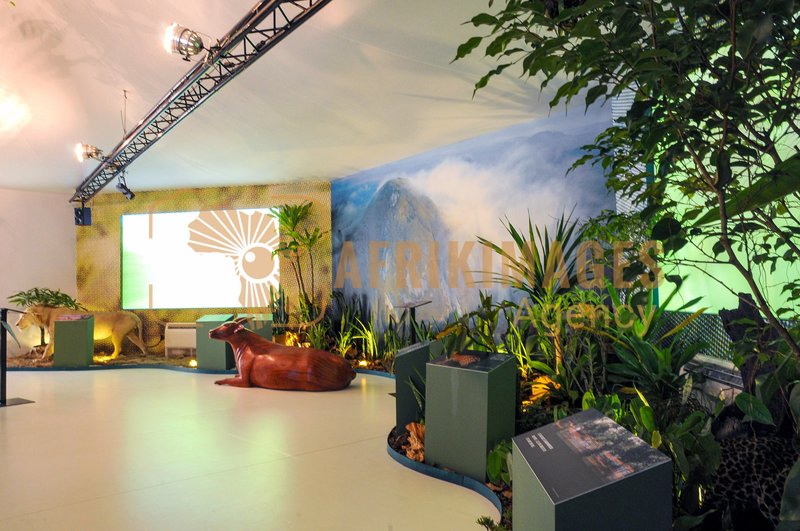 Afrikimages exposition gabon, ma terre, mon futur