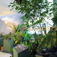 Afrikimages exposition gabon, ma terre, mon futur