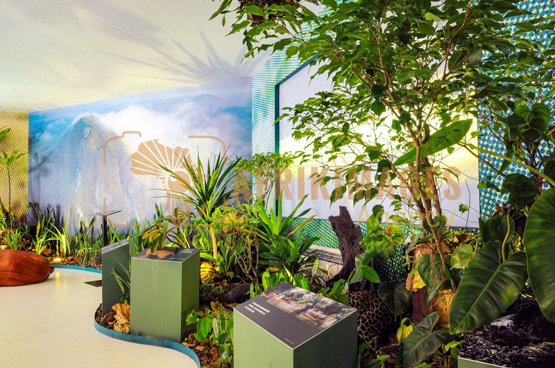 Afrikimages exposition gabon, ma terre, mon futur