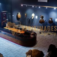 Afrikimages musée national