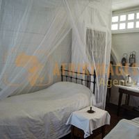 Afrikimages musée dr schweitzer lambbarene