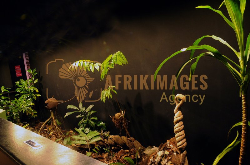 Afrikimages exposition gabon, ma terre, mon futur