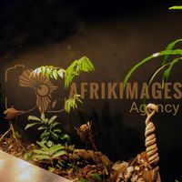 Afrikimages exposition gabon, ma terre, mon futur