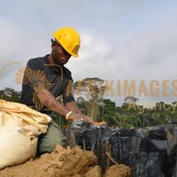 Afrikimages gabon / agriculture