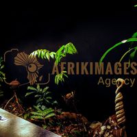 Afrikimages exposition gabon, ma terre, mon futur