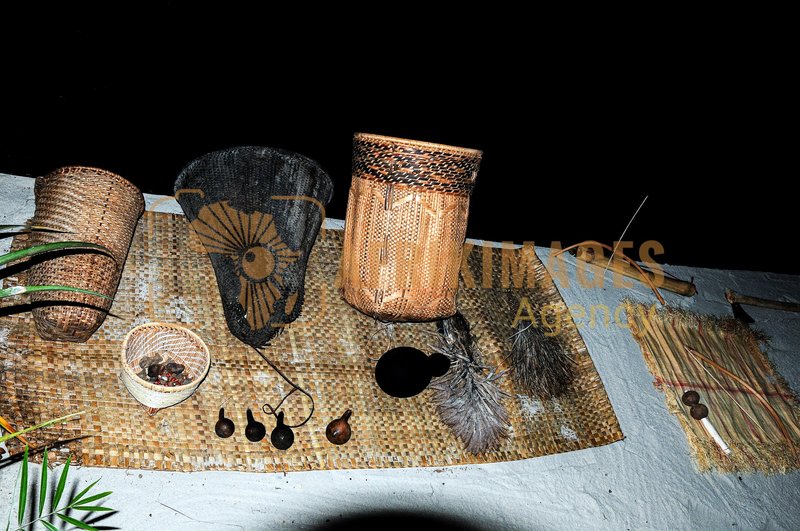 Afrikimages exposition gabon, ma terre, mon futur