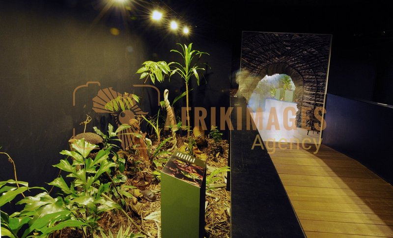 Afrikimages exposition gabon, ma terre, mon futur