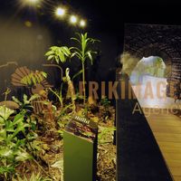 Afrikimages exposition gabon, ma terre, mon futur