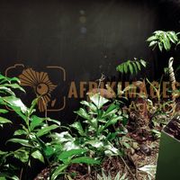 Afrikimages exposition gabon, ma terre, mon futur