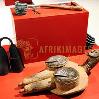 Afrikimages exposition gabon, ma terre, mon futur