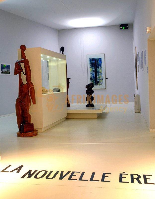 Afrikimages exposition gabon, ma terre, mon futur