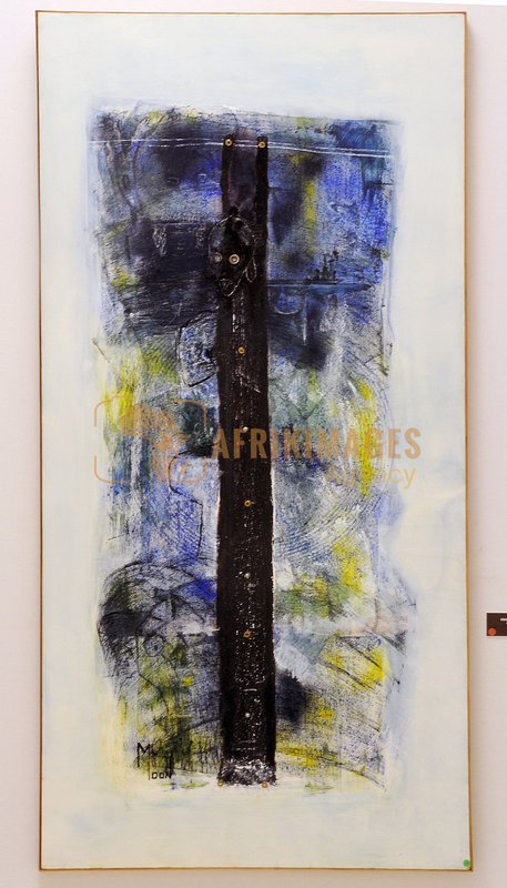 Afrikimages exposition gabon, ma terre, mon futur