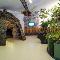 Afrikimages exposition gabon, ma terre, mon futur