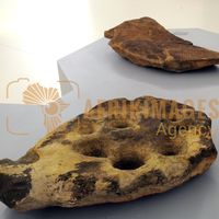 Afrikimages exposition gabon, ma terre, mon futur