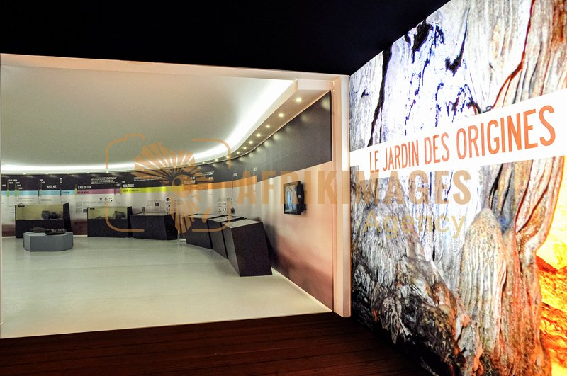 Afrikimages exposition gabon, ma terre, mon futur