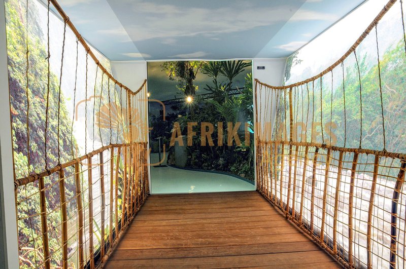 Afrikimages exposition gabon, ma terre, mon futur