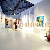Afrikimages exposition gabon, ma terre, mon futur