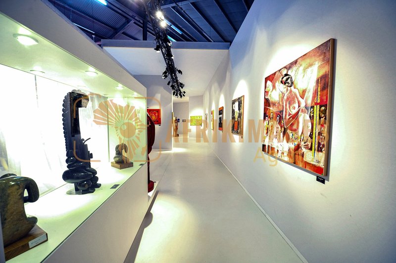 Afrikimages exposition gabon, ma terre, mon futur