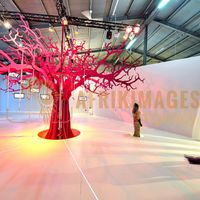 Afrikimages exposition gabon, ma terre, mon futur