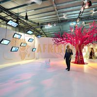 Afrikimages exposition gabon, ma terre, mon futur