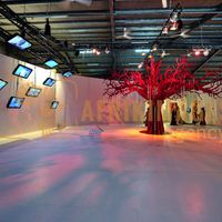 Afrikimages exposition gabon, ma terre, mon futur