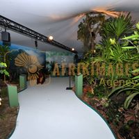 Afrikimages exposition gabon, ma terre, mon futur