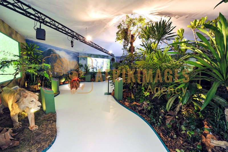 Afrikimages exposition gabon, ma terre, mon futur