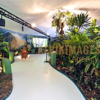 Afrikimages exposition gabon, ma terre, mon futur