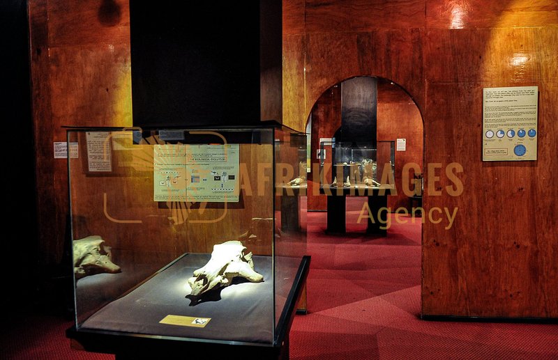 Afrikimages musée national d’éthiopie