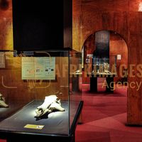 Afrikimages musée national d’éthiopie