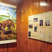 Afrikimages musée national d’éthiopie