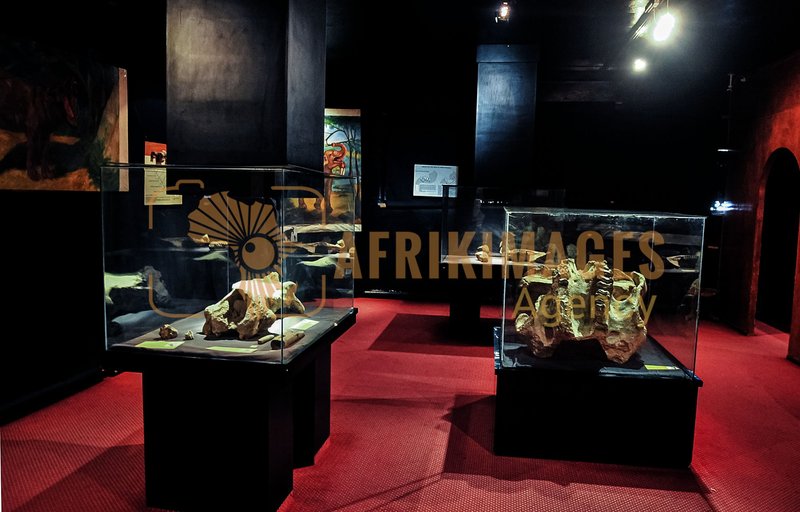 Afrikimages musée national d’éthiopie