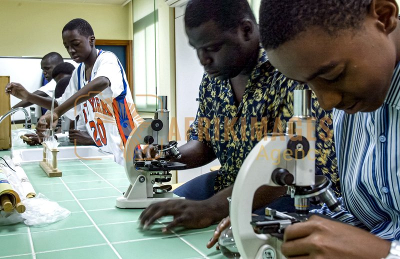 Afrikimages complexe scolaire michel dirat