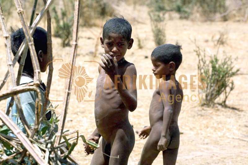 Afrikimages démographie