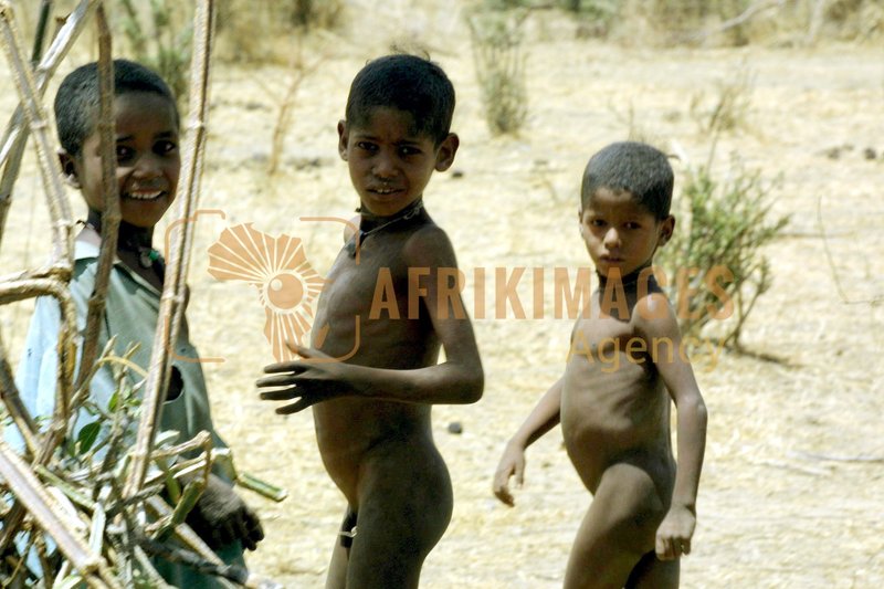 Afrikimages démographie