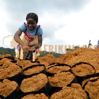 Afrikimages gabon / agriculture