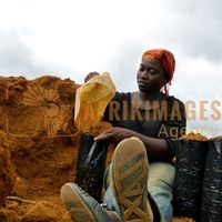 Afrikimages gabon / agriculture