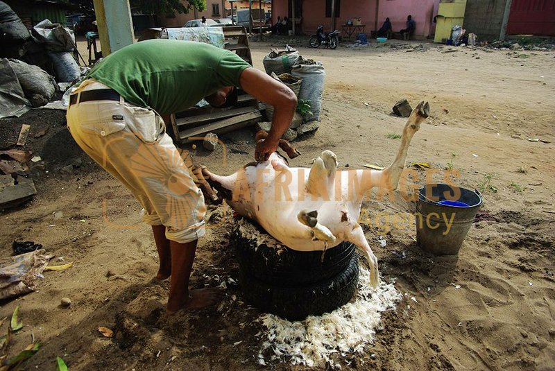 Afrikimages gastronomie