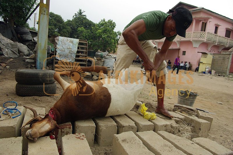 Afrikimages gastronomie