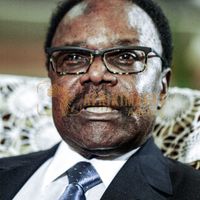 Afrikimages dip00141