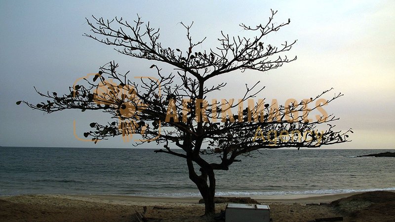 Afrikimages vacances et tourisme