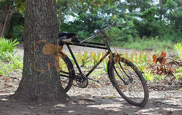 Afrikimages vie quotidienne