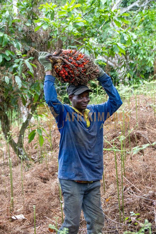 Afrikimages agrn005