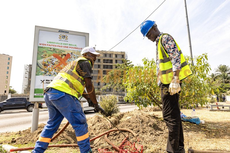 Afrikimages libreville