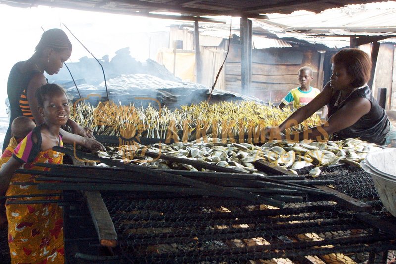 Afrikimages pêche