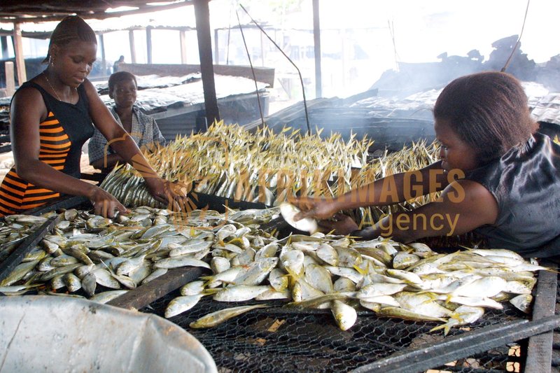 Afrikimages pêche