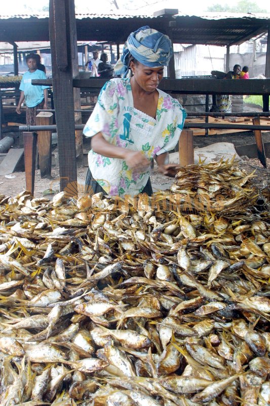Afrikimages pêche