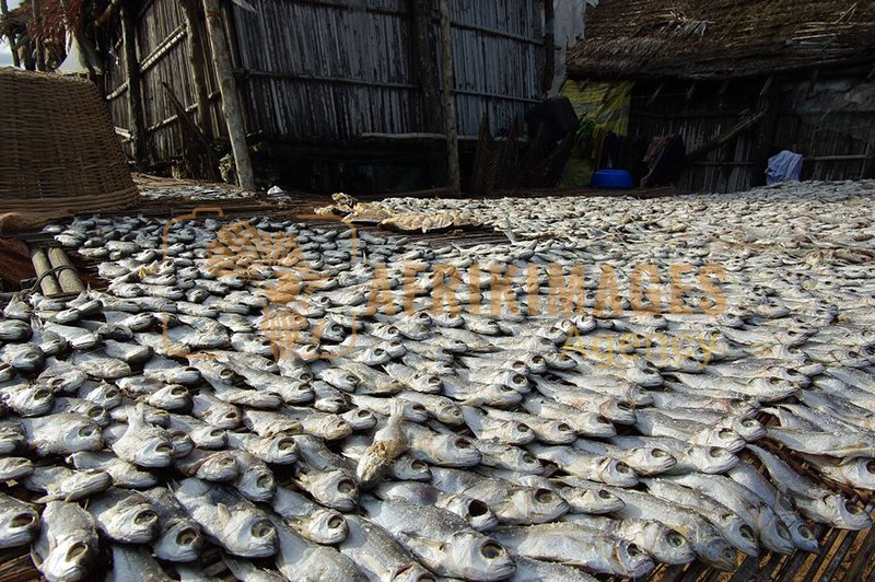 Afrikimages pêche
