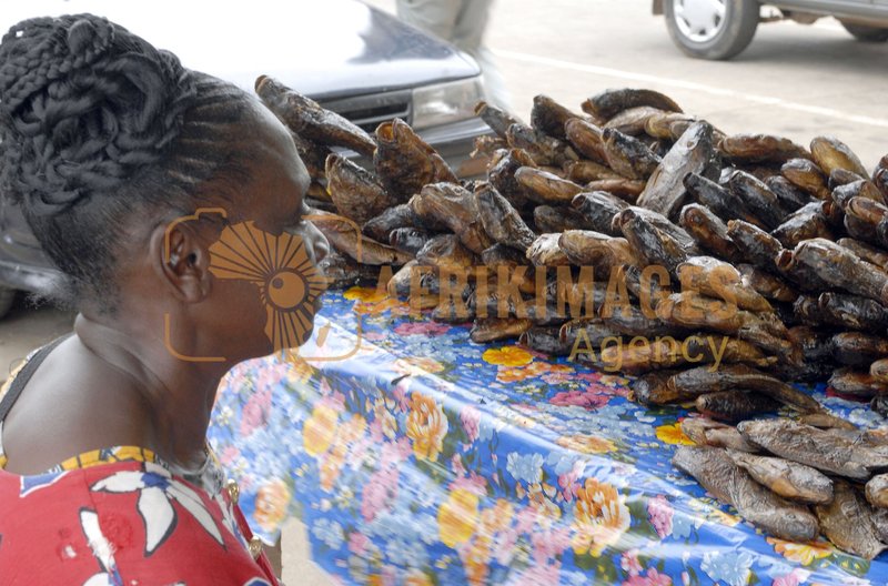 Afrikimages pêche