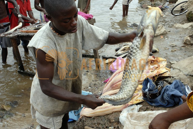 Afrikimages pêche